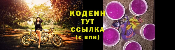 ГАЛЛЮЦИНОГЕННЫЕ ГРИБЫ Абаза