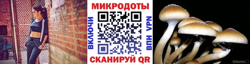 Псилоцибиновые грибы прущие грибы Змеиногорск